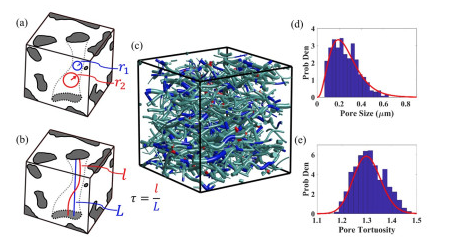 Fibrous Network