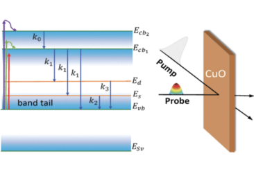 Charge Dynamics image